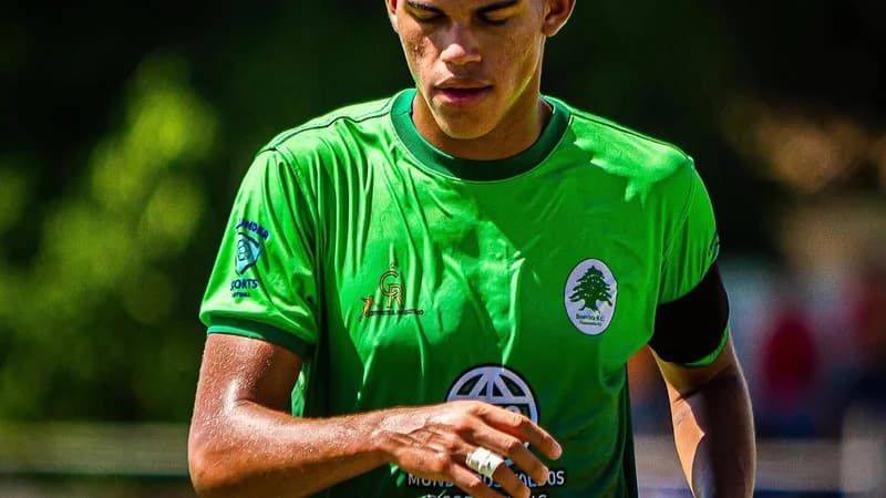 Miniatura de Highlights 