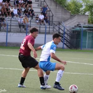 Perfil de Nicolas Galli